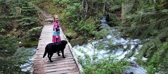 Waffle Cottage Bed & Breakfast ❤ FREE Minigolf ❤ Hot Tub ❤ Fenced Yard