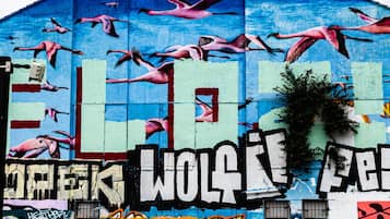 Rakennuksen seinät on koristeltu graffititaiteella, ja kuvioihin kuuluu muun muassa flamingoja sekä sana ”WOLKE”.