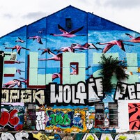 Un edificio con arte callejero, incluyendo flamencos y la palabra "WOLKE".