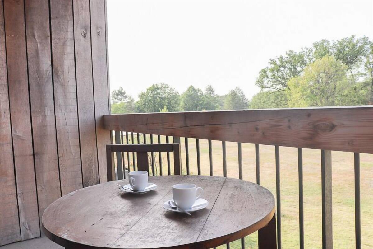 Apartment (Chambre Parc) | Terrasse/Patio