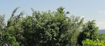 Explore Central Srilanka