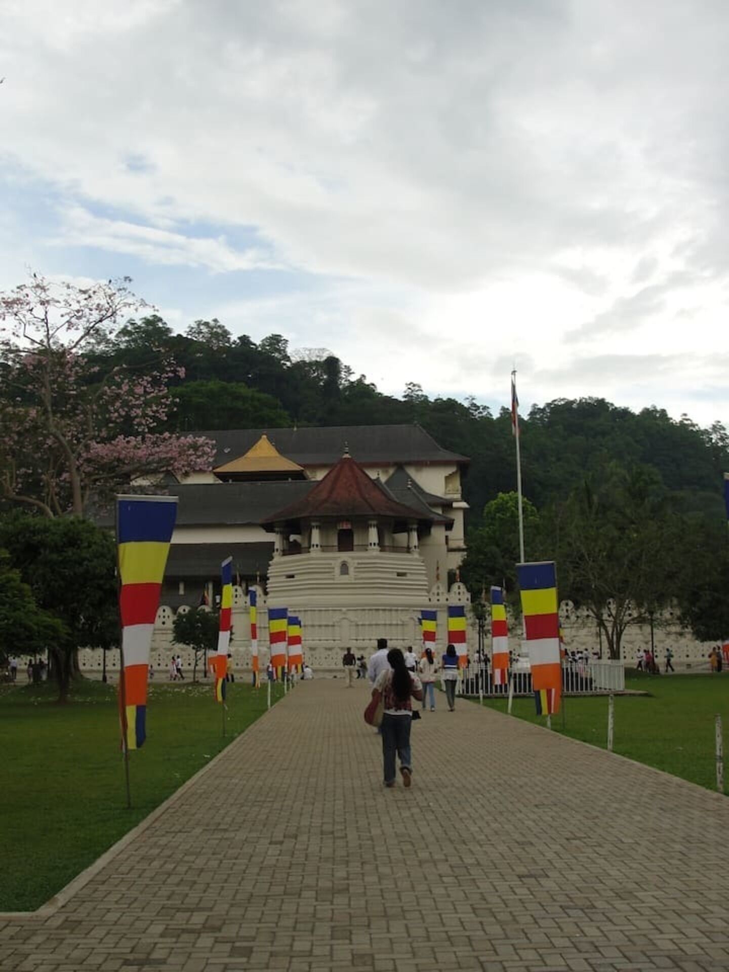 A pathway leading to a traditional building with a tiled roof and a central dome.