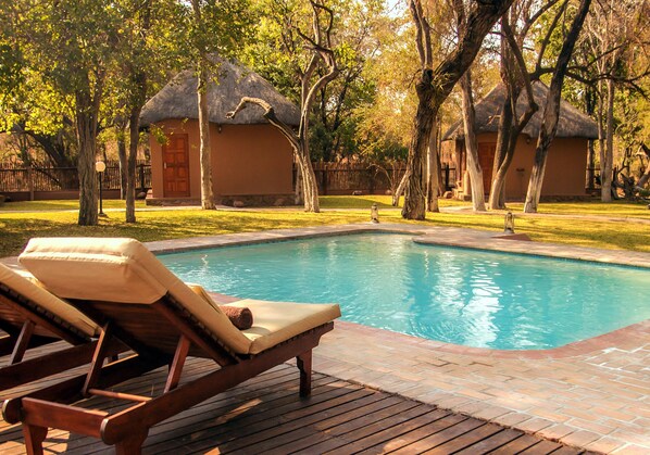 Outdoor pool, pool loungers - Phuti Safari Lodge (Phalaborwa)