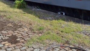 Un vagone ferroviario fermo con diverse finestre e una porta, posto su binari con una zona erbosa e un vialetto in mattoni nelle vicinanze.