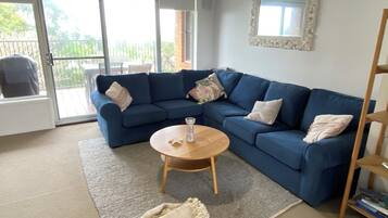 Smart TV, fireplace, books