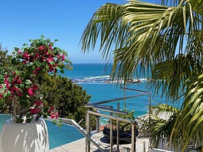 A poolside view with a clear view of the ocean and a palm tree. - Clifton YOLO Spaces – Clifton Mansion Villa (Cape Town)