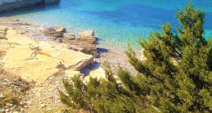 Holiday home Slobodan, (16274), Žirje, hr