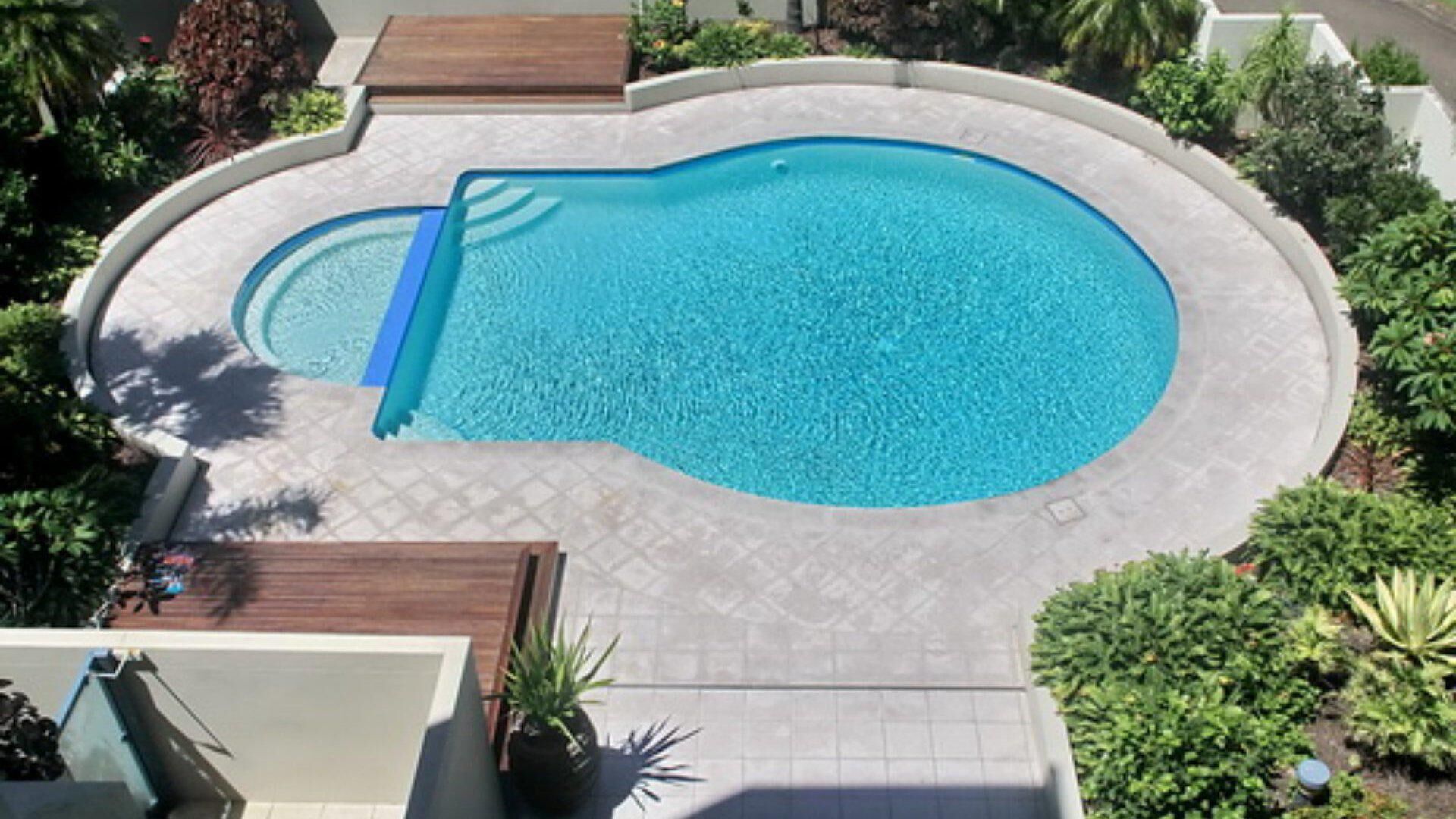 Una piscina de borde curvo, rodeada por un solárium con baldosas y vegetación.