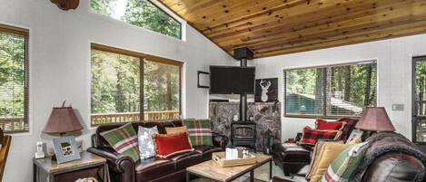 Fernseher, Kamin, DVD-Player, Videothek