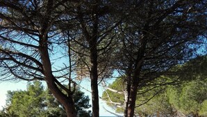 Ein sandiger Strand mit Fußabdrücken, Bäumen und einem klaren, blauen Meer.