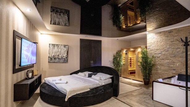 A modern bedroom with a curved bed, a television, a large potted plant, and a stone wall. - Boutique Hotel Madison  (Belgrade)