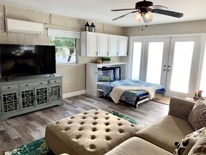 Smart TV, DVD player, video library, computer monitors