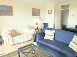 TV, DVD player, books, video library
