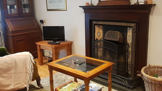 Ein Wohnzimmer mit Kamin, Fernseher auf einem Holztisch und Bücherregal.