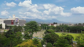 Vista desde la habitación