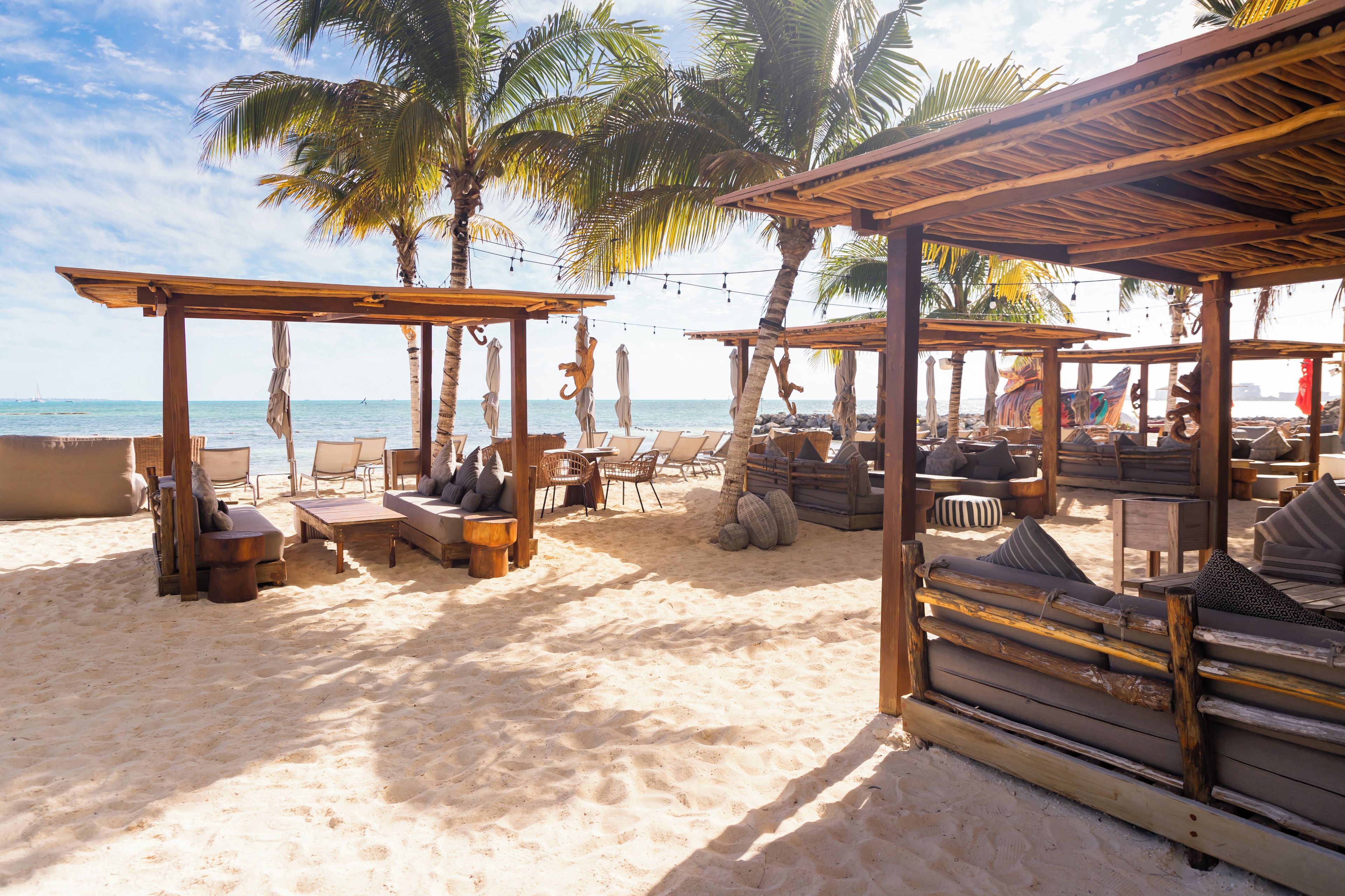 Un salón junto a la playa con mobiliario de madera, palmeras y vista al océano.