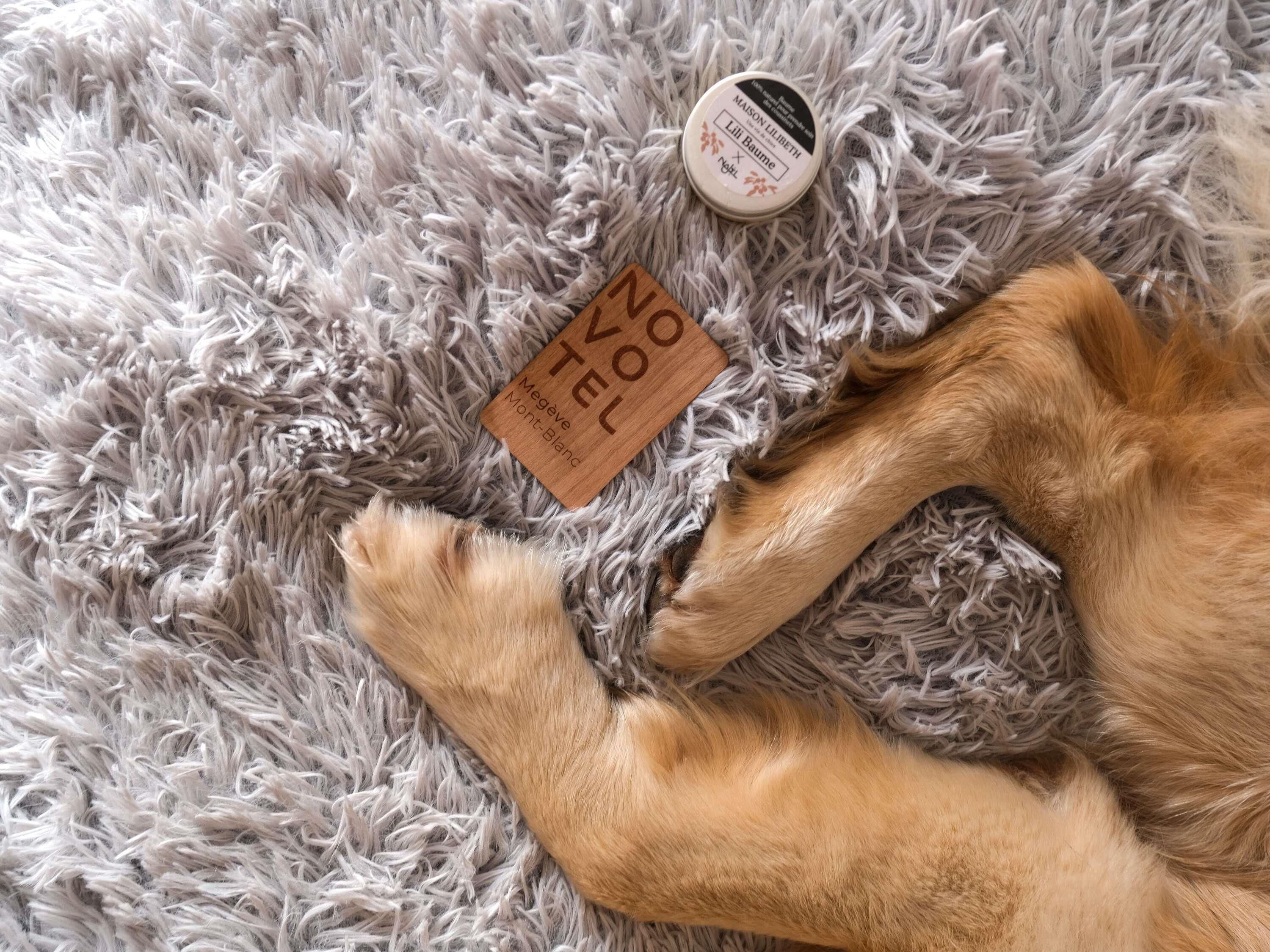 Photo - Novotel Megève Mont-Blanc