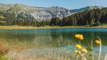 Paesaggio montano con un lago e una foresta.