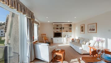 TV, DVD player, books