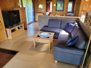 Smart TV, fireplace, DVD player, stereo - Detached "Holiday home Diana" with sauna (Extertal)
