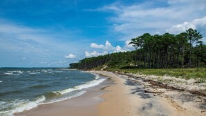 A beach with a sandy shore, ocean waves, and a forested area.