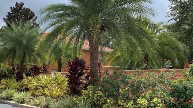 A landscaped garden with palm trees, flowering plants, and a building with a tiled roof.