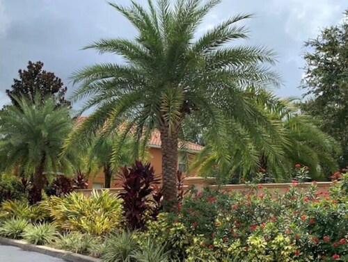 Only 7 minutes away from Walt Disney World Magic Kingdom