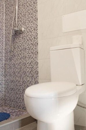 Douche, sèche-cheveux, serviettes fournies, papier toilette