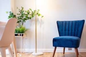 TelevisiĂłn de pantalla plana, Netflix, servicios de streaming