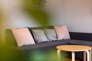 TelevisiĂłn de pantalla plana, Netflix, servicios de streaming