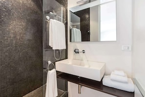 Shower, hair dryer, shampoo