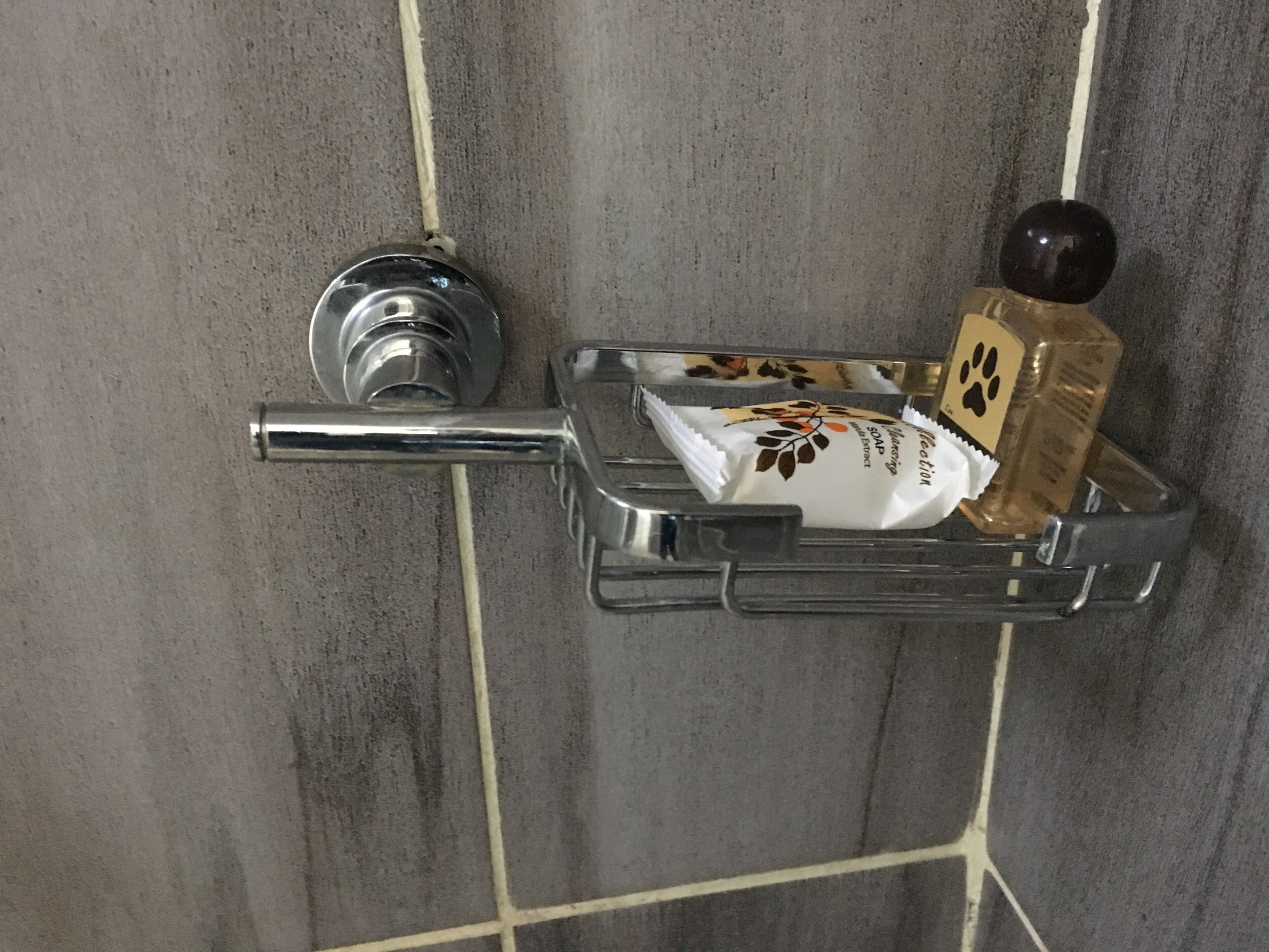 A bathroom with a chrome towel rack holding a bar of soap and a bottle of hand soap.