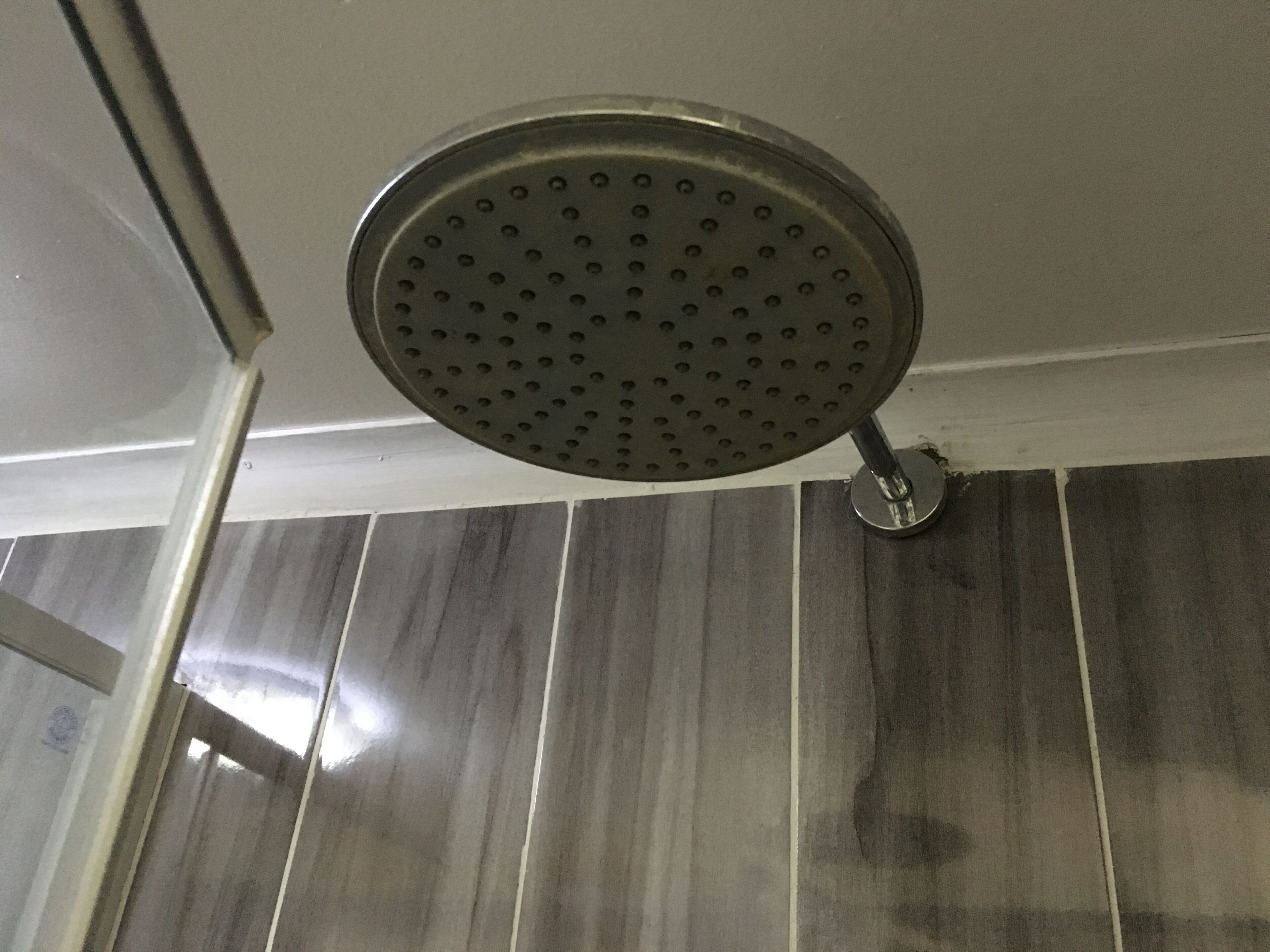A showerhead with a circular design and multiple holes, mounted on a wall with a tiled surface.