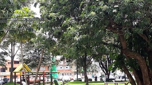 Property grounds - Aparta Hotel Victoria In (Bogotá)