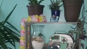 Uno scaffale con piante in vaso, una macchinina giocattolo, una figurina e una piccola ciotola.