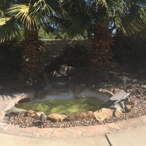 A small pond with a stone border, surrounded by rocks and palm trees.