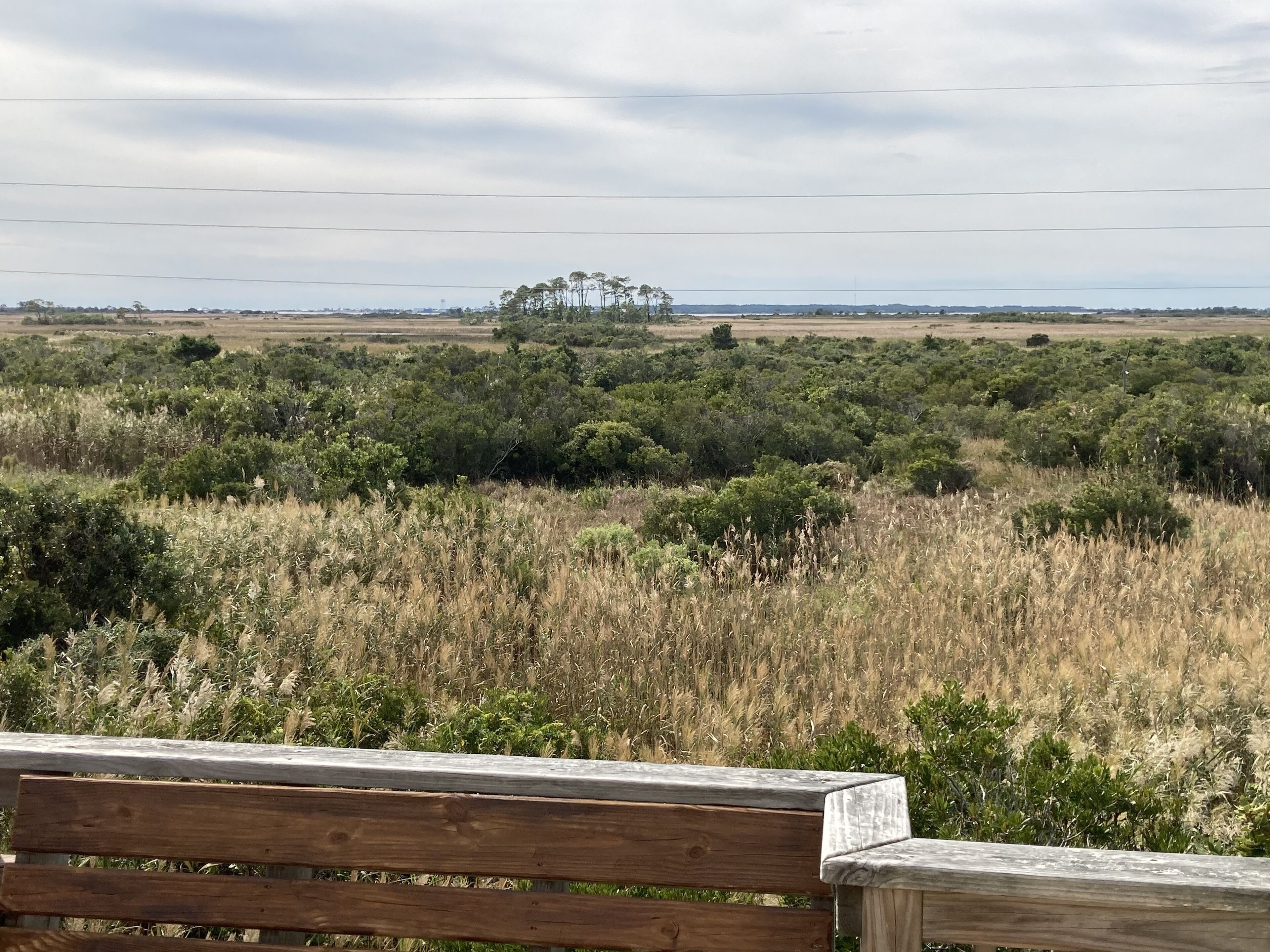 A wooden bench overlooking a field with scattered trees and a distant view of a city skyline.