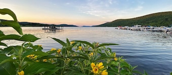 A Newer Modern Countryside Family Retreat - 1 Mile from Cooperstown Dreams Park