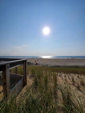 Nær stranden, solsenger og strandhåndklær