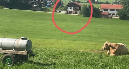 Ihr Ferienhof am Rande der Alpen, Nebenhaus