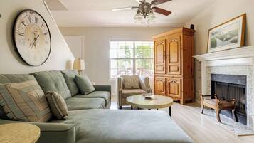 Smart TV, fireplace, DVD player, books