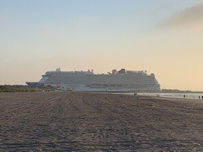 Un gran crucero amarrado en un puerto con una playa arenosa al frente.