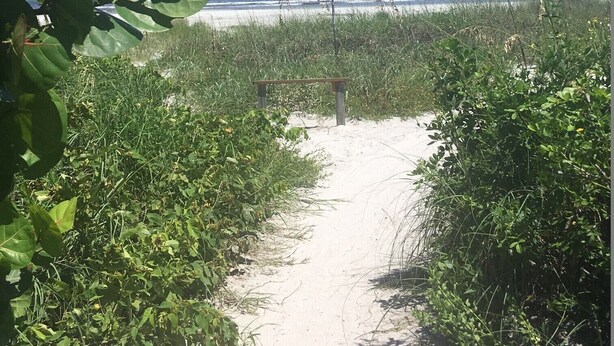A sandy path leading to a beach with clear blue sky and ocean in the background.