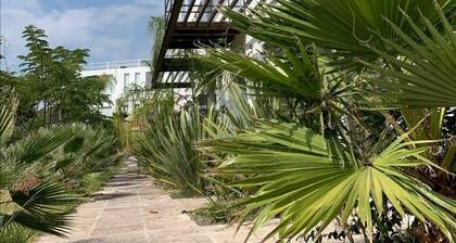 Nice Cozy Apartment in Juriquilla