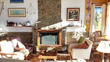 Smart TV, fireplace, books