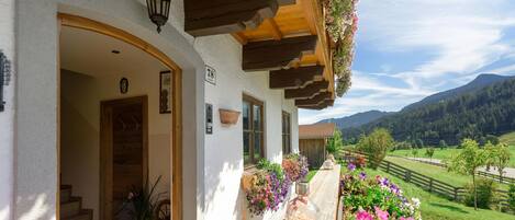 Área da propriedade