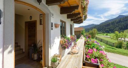 Spacious apartment with a balcony