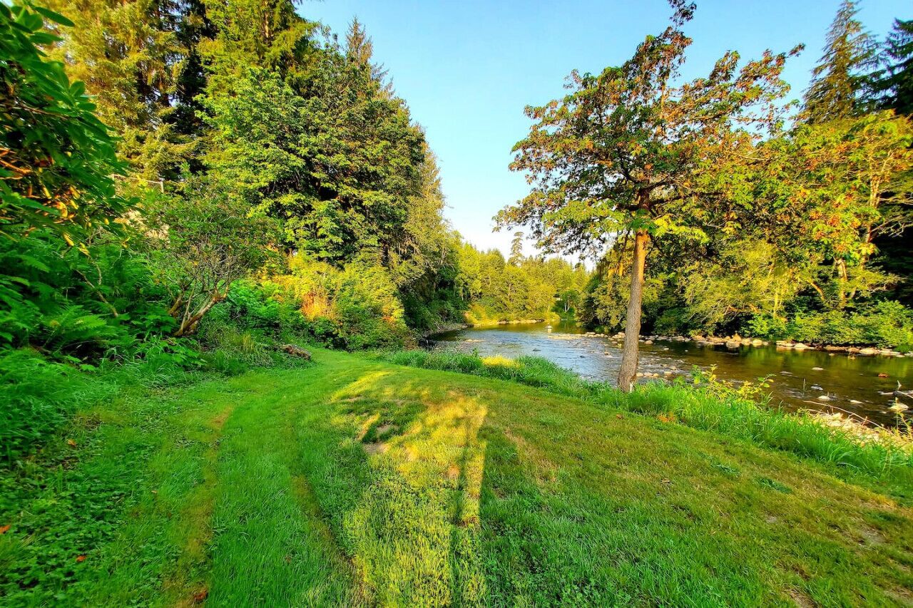 A river surrounded by dense greenery and trees.