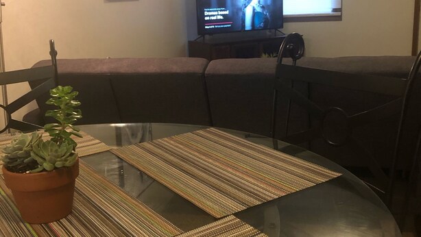 A dining area with a glass table, striped placemats, a potted plant, and a television on a stand.