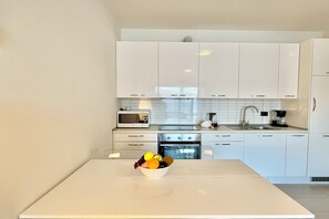 Großer Kühlschrank, Mikrowelle, Ofen, Herdplatte